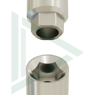 Paltop Internal Hex