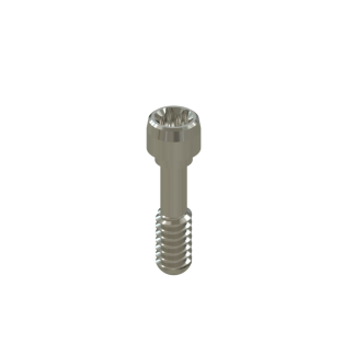 Tornillo Torx