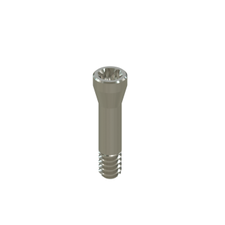 Tornillo Torx