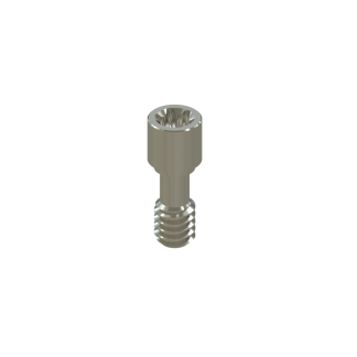 Tornillo Torx