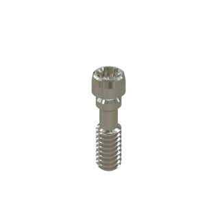 Tornillo Torx