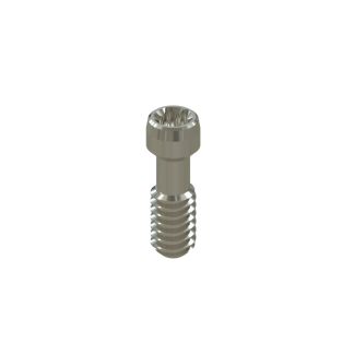 Tornillo Torx