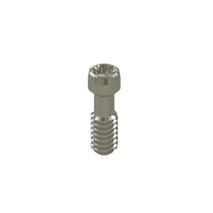 Tornillo Torx Ziacom® Externa RP/WP