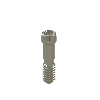 Tornillo Torx