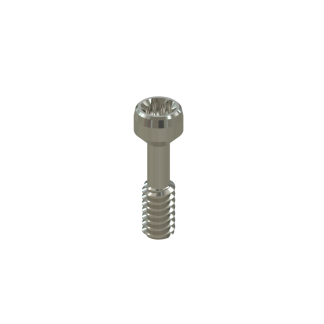 Tornillo Torx