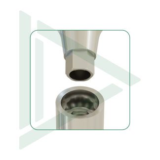 Neodent®